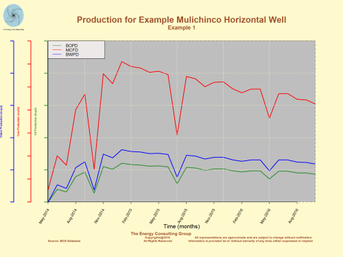Mulichinco horizontal shale wells are capable of delivering solid production results, though not all do so.